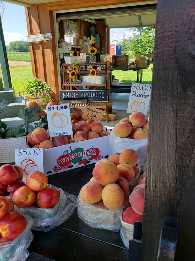 Produce Market «Rush Vegetables», reviews and photos, 2120 Eagle Harbor Waterport Rd, Albion, NY 14411, USA