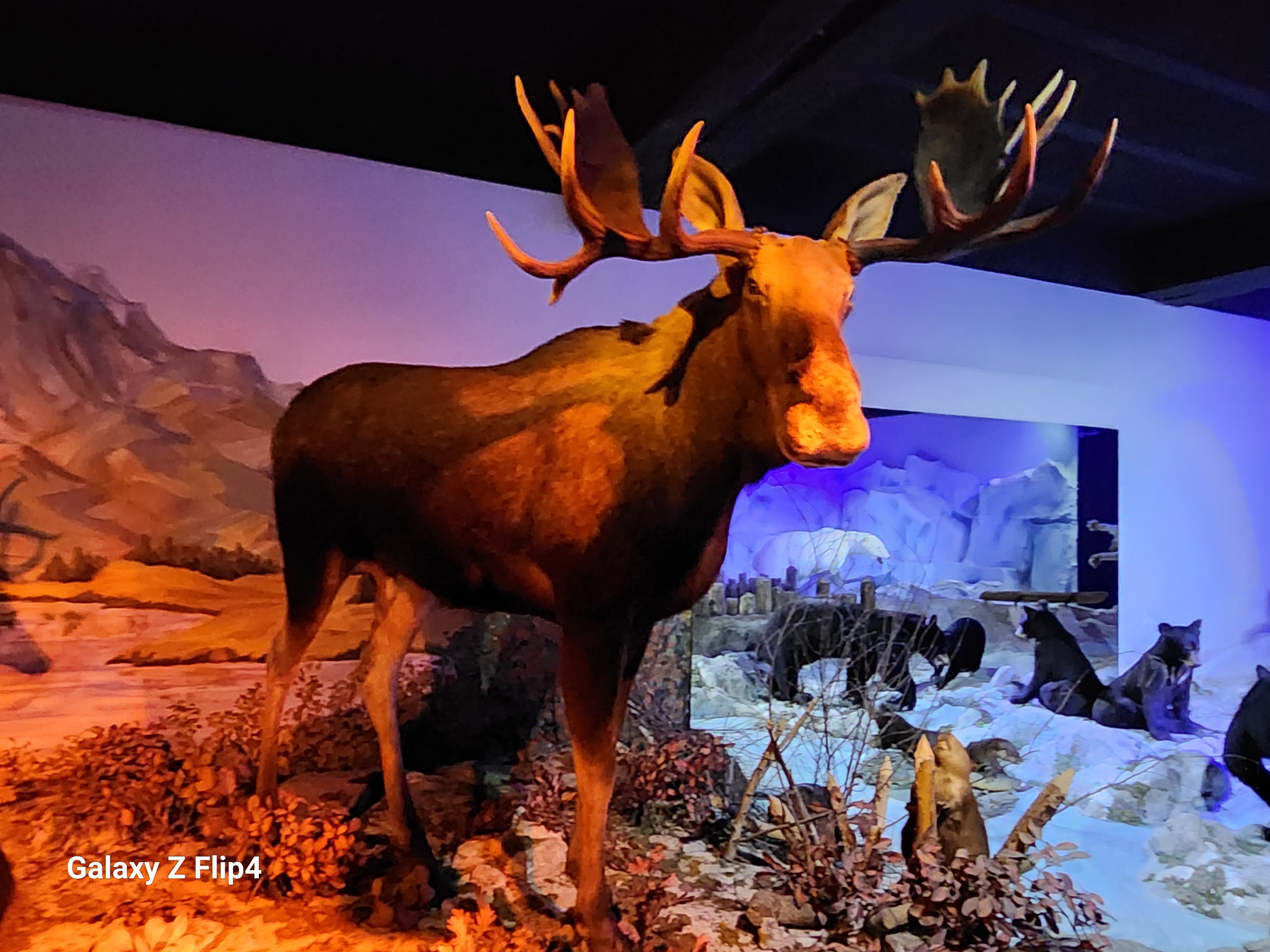 Photo n° 9 de l'avis de pascal.h fait le 02/05/2023 à 19:13