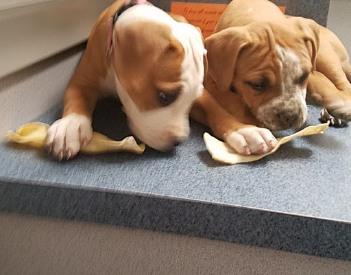 1815 Old Morrilton Hwy, Conway, AR 72032, USA