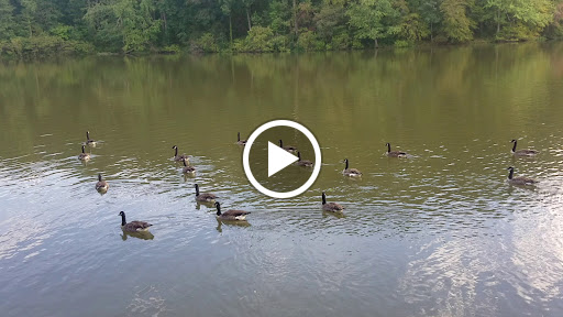 Recreation Center «Newton County Recreation Commission», reviews and photos, 6185 Turner Lake Road, Covington, GA 30014, USA