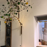 Photo n°3 de l'avis de Pei. fait le 23/04/2024 à 22:34 sur le  Ai Mãe à Tavira