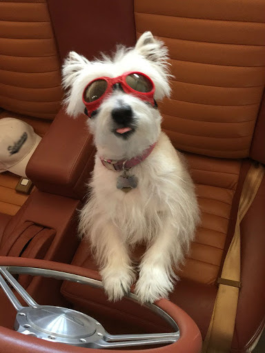 Insurance Agency «Allstate Insurance Agent: Stacy Trivitt», reviews and photos