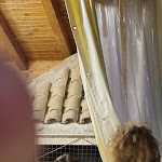 Photo n°2 de l'avis de MASSY. fait le 11/08/2021 à 04:36 sur le  Trattoria Pizzeria Carusel à Vieste