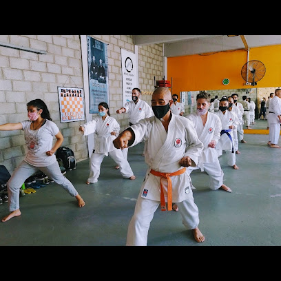 Karate Shotokan - Dojo Jin
