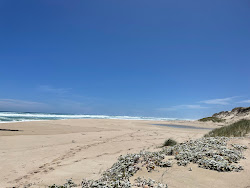 Photo de Black's Beach avec rivage droit, long