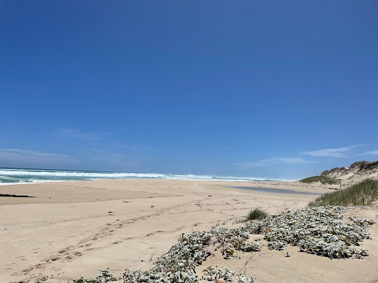 Black's Beach