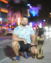 Dog Training TASER K9 - Photo 3 - Car repair in , Hollywood