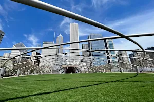 Great Lawn image