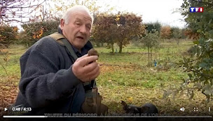 Photo n°9 de FRANCE TRUFFICULTURE à Gout-Rossignol ()