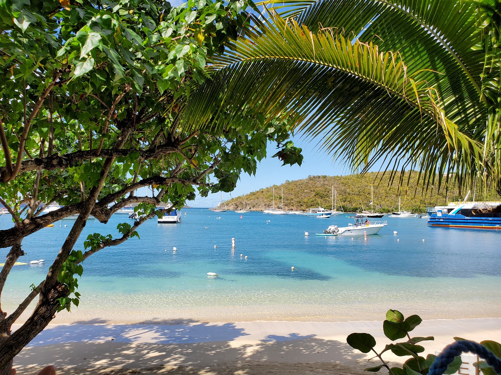Foto von Cruz Bay beach und die siedlung