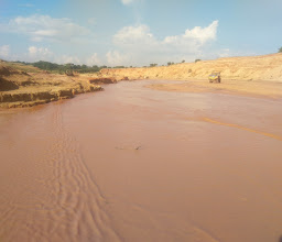 Delizon And Elvee Group photo