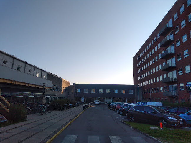 Anmeldelser af Bispebjerg Hospital Indgang 60 i Bispebjerg - Sygehus