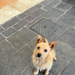 Photo n°1 de l'avis de Mica.e fait le 26/07/2022 à 21:57 sur le  S'Incontru à Pula