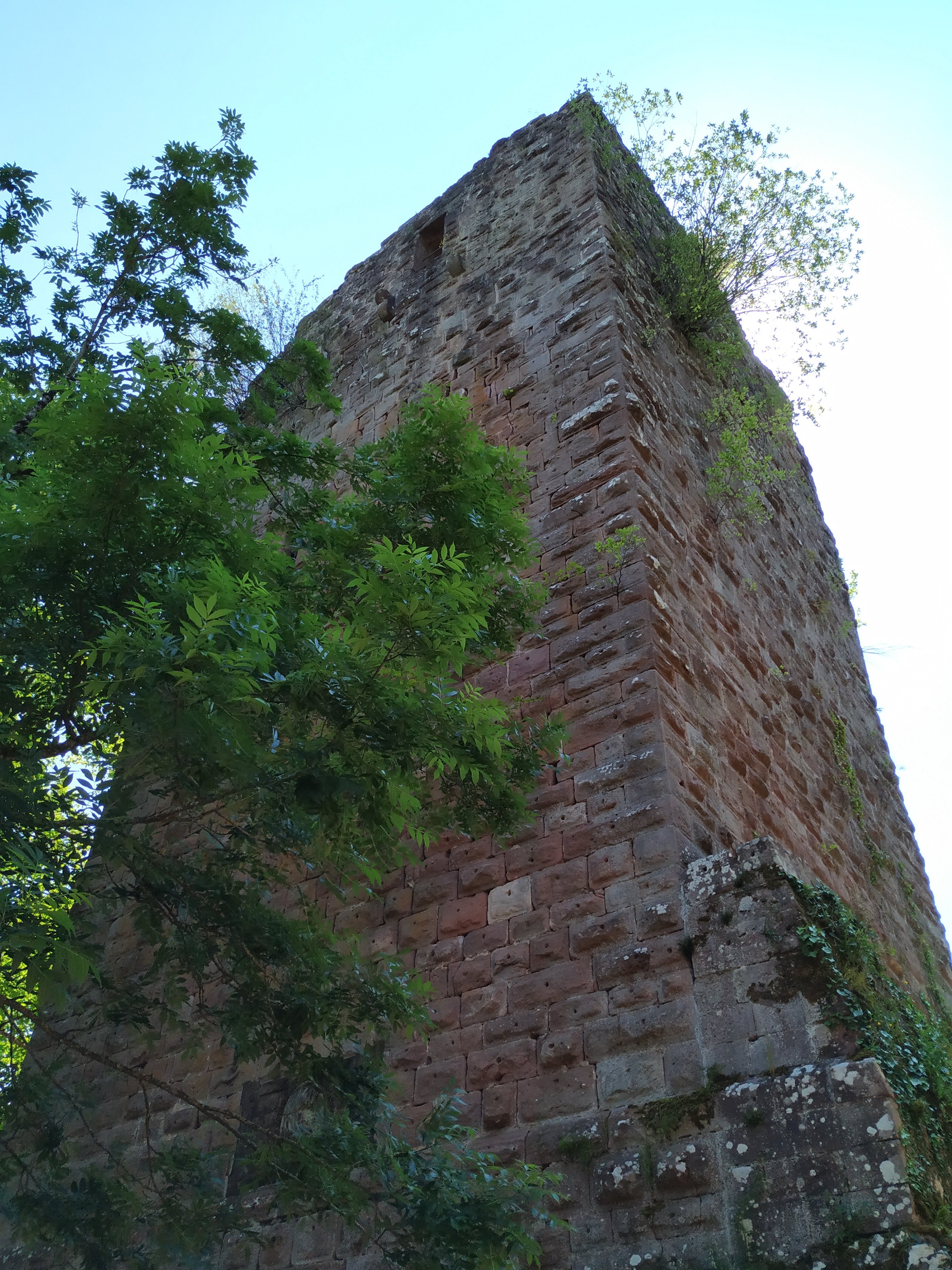 Photo n° 5 de l'avis de Antonin.R fait le 09/06/2019 à 21:46