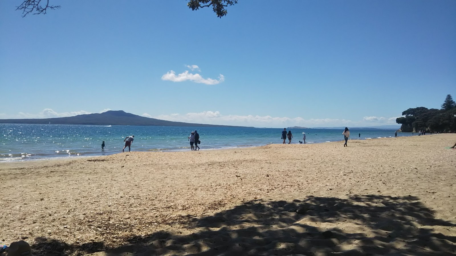 Takapuna Beach photo #8