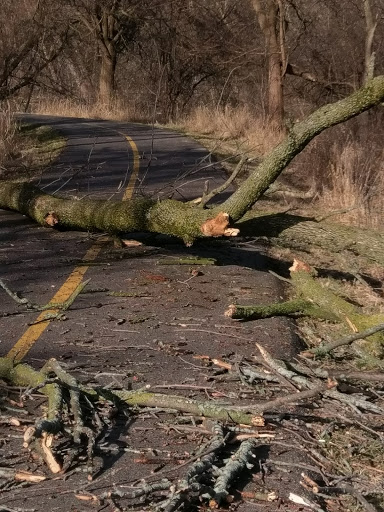State Park «Brezina Woods», reviews and photos, N La Grange Rd, La Grange Park, IL 60526, USA