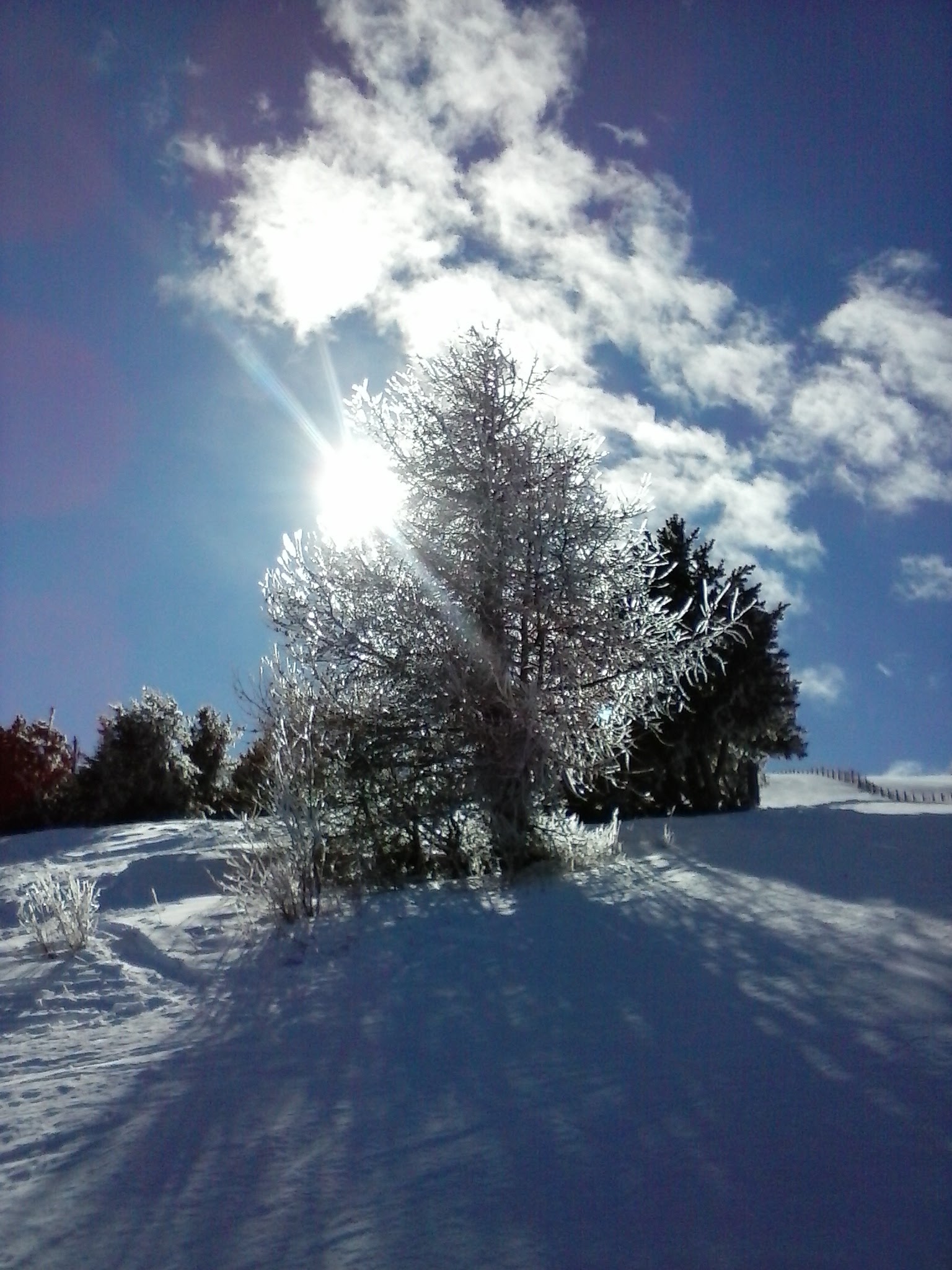 Photo n° 1 de l'avis de HJB.J fait le 19/02/2018 à 16:51