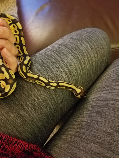 Pet Supply Store «PetSmart», reviews and photos, 742 S Meadow St, Ithaca, NY 14850, USA