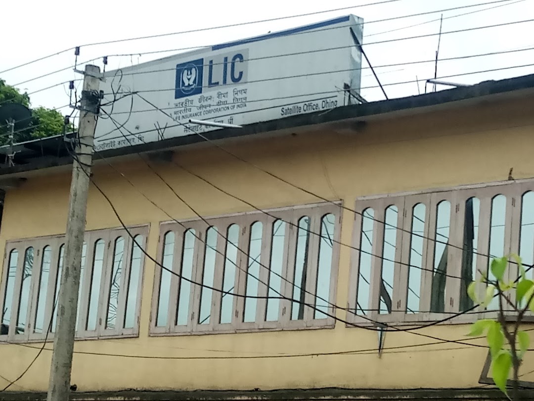 LICI Dhing