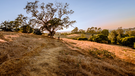 216 Howard St, Petaluma, CA 94952, USA