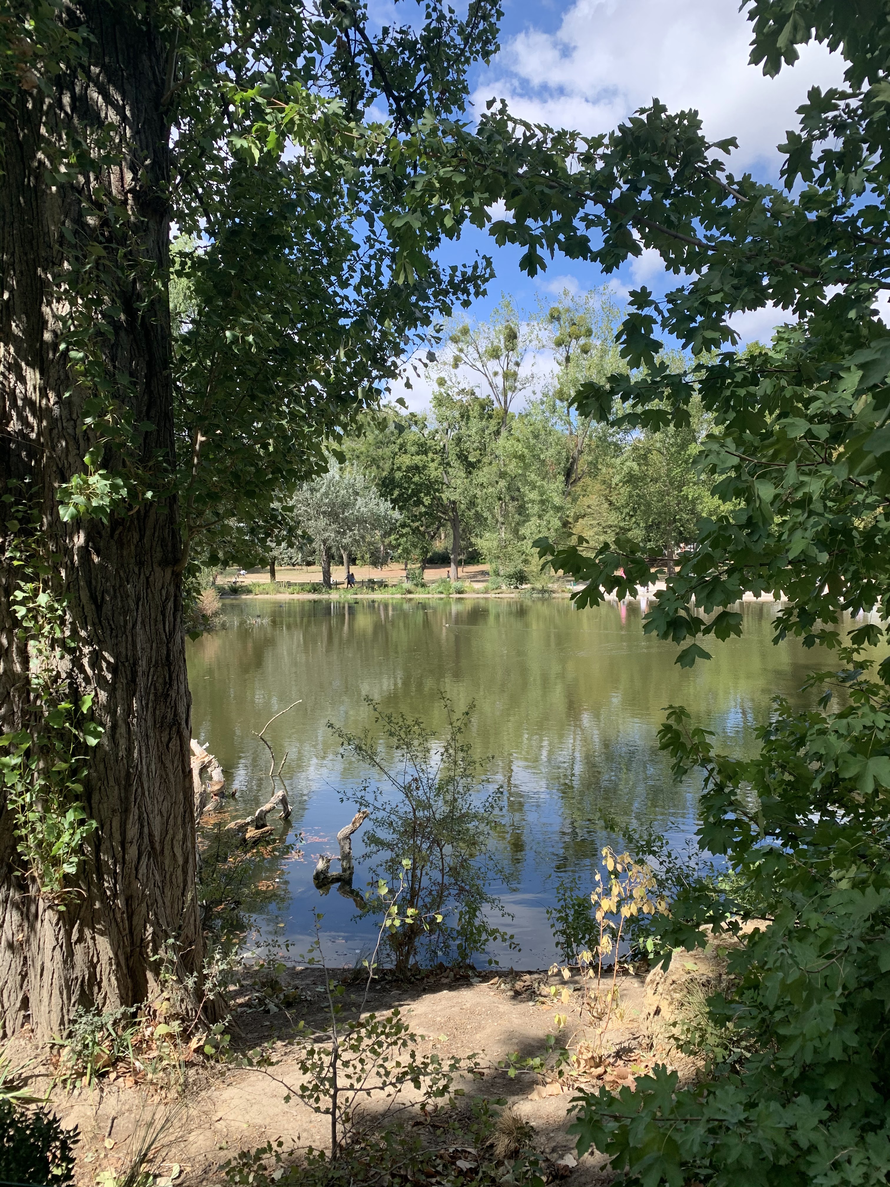Photo n° 4 de l'avis de Laurent. fait le 30/08/2020 à 16:22