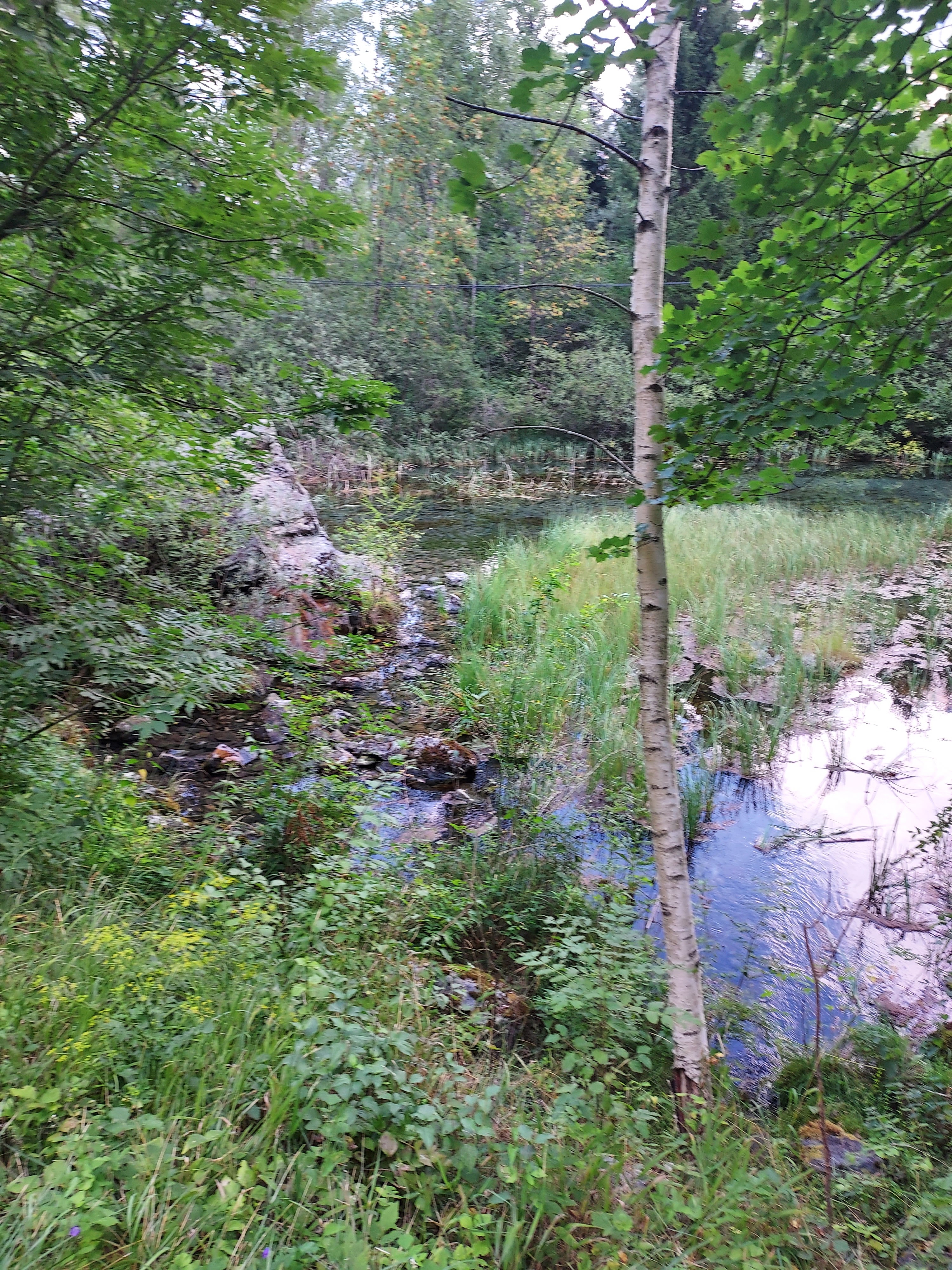 Photo n° 2 de l'avis de Viviane.a fait le 09/08/2022 à 20:40
