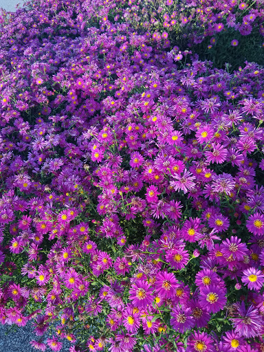 Home Improvement Store «The Home Depot», reviews and photos, 6625 Grand Ave, Gurnee, IL 60031, USA