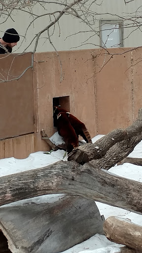 Zoo «Red River Zoo», reviews and photos, 4255 23rd Ave S, Fargo, ND 58104, USA