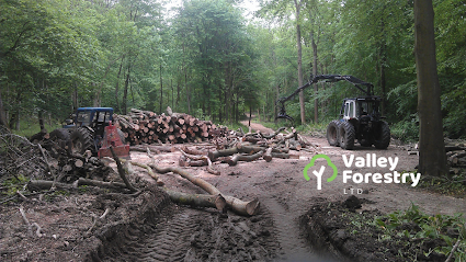 Valley Forestry Ltd