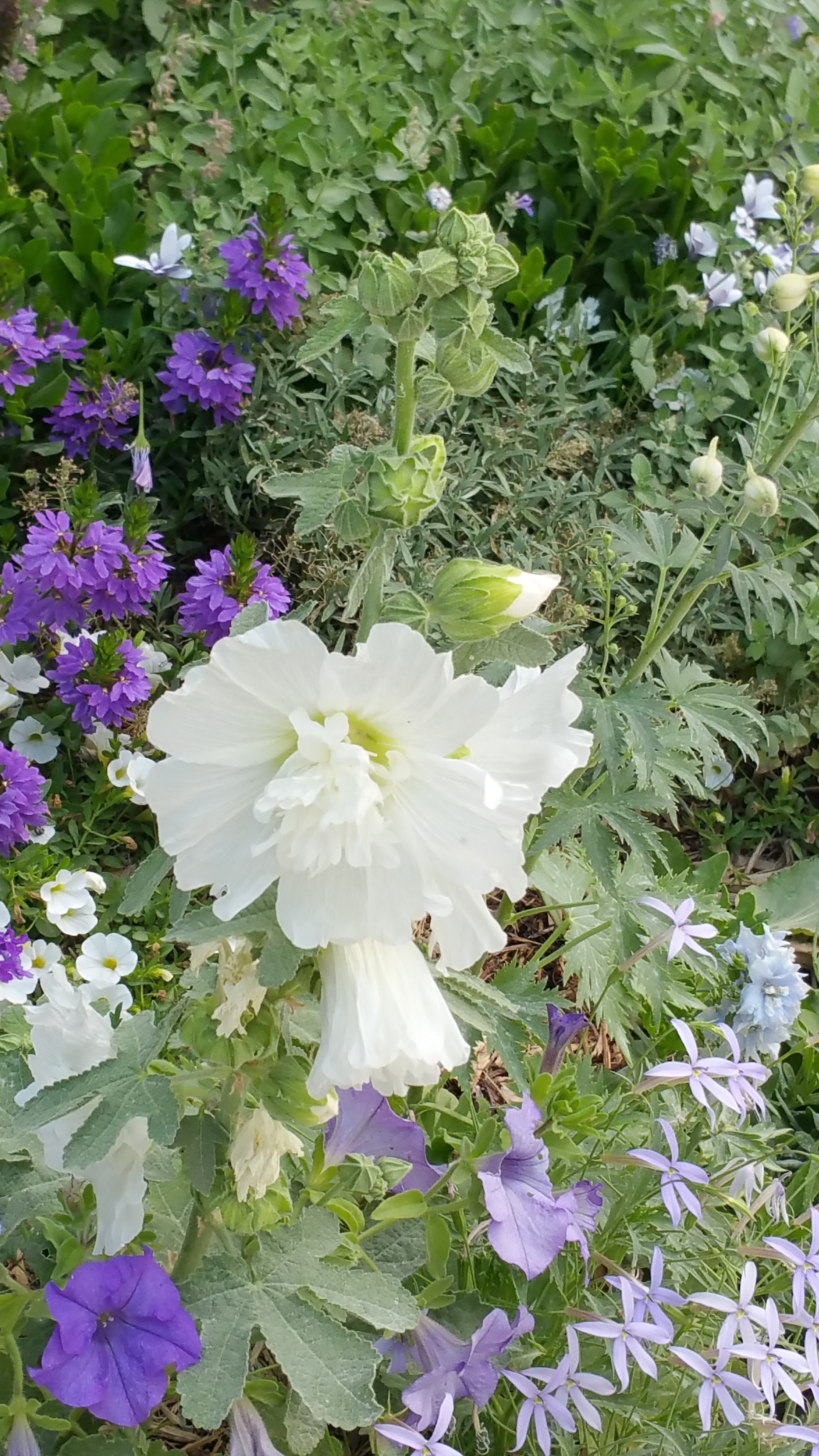Photo n° 5 de l'avis de Karl.o fait le 13/07/2019 à 18:13