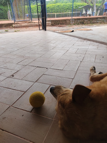 Academia de Tennis Cartago