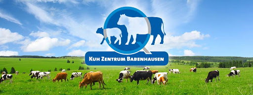 Kuh Zentrum Babenhausen, Tierarztpraxis für Kühe und Rinder, Dres. Querengässer unter Babenhausen, Bayern