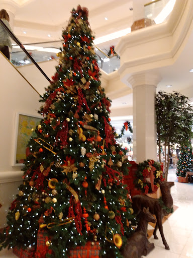 Department Store «Von Maur Eastview», reviews and photos, 300 Eastview Mall, Victor, NY 14564, USA