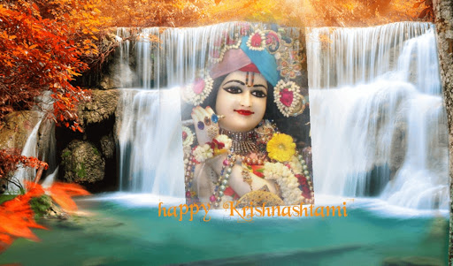 Park «Pueblo Park», reviews and photos, Peublo Vista Dr, Las Vegas, NV 89128, USA