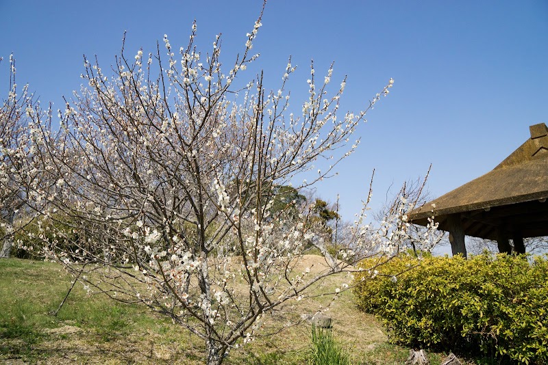 田浦緑地