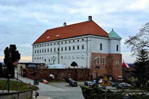 Sandomierz Castle image