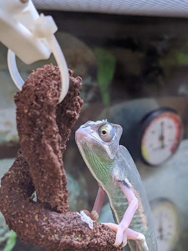 Pet Supply Store «Petco Animal Supplies», reviews and photos, 1419 Towne Square Blvd NW, Roanoke, VA 24019, USA