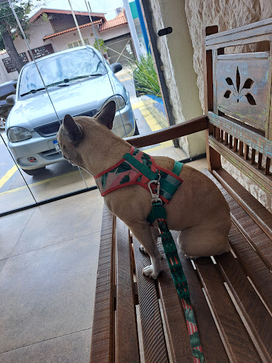 Ceclinvet Centro Veterinário em Santo André - SP