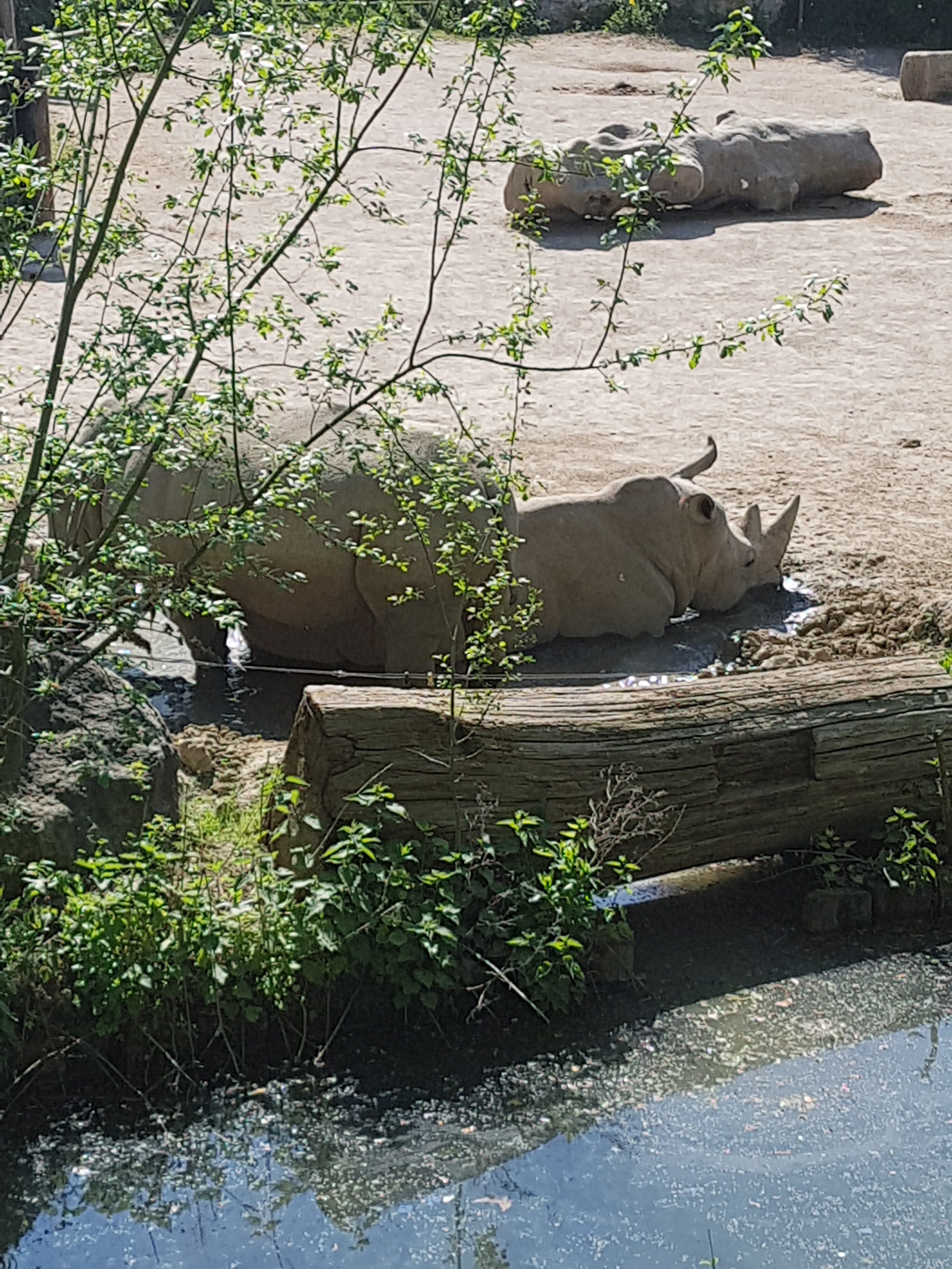 Photo n° 15 de l'avis de Celia.a fait le 30/04/2019 à 08:20