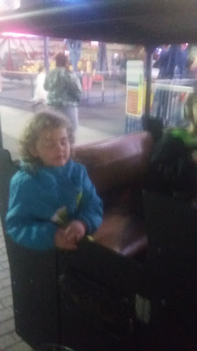 Theme Park «Fun Spot America Theme Parks-Orlando», reviews and photos, 5700 Fun Spot Way, Orlando, FL 32819, USA