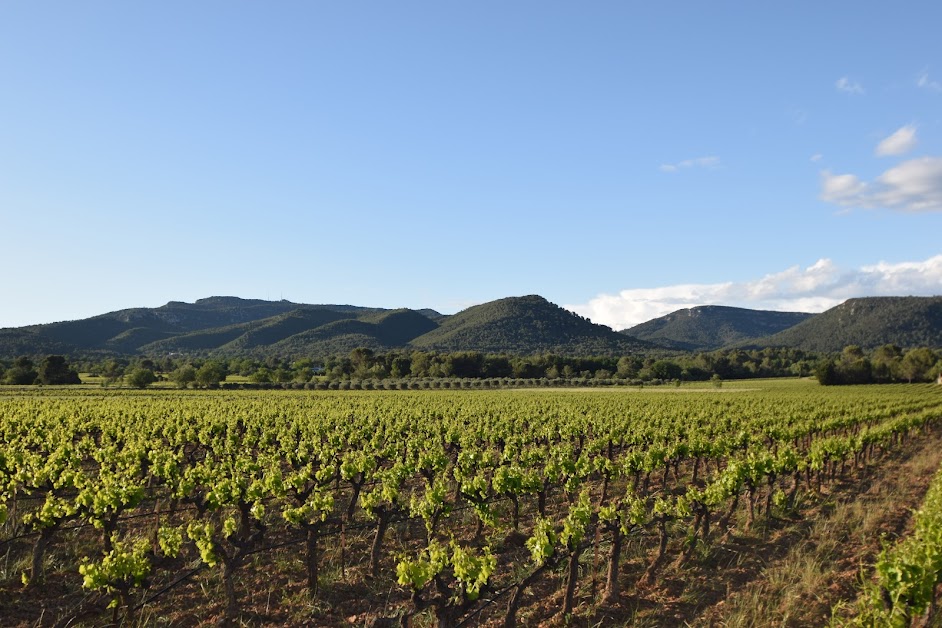 Immo Cordenot à Néoules (Var 83)