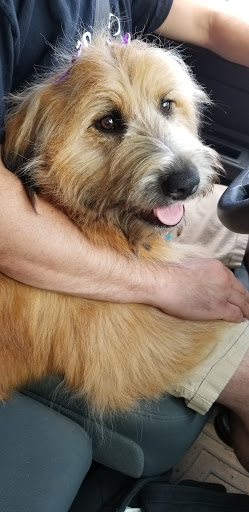 Pet Supply Store «PetSmart», reviews and photos, 1125 Quentin Rd, Lebanon, PA 17042, USA