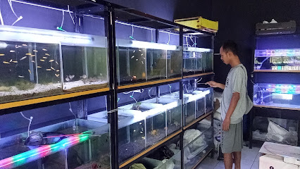 HOBIQU 'Aquarium Purbalingga'
