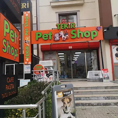 Çorlu Tekir Pet Shop 3