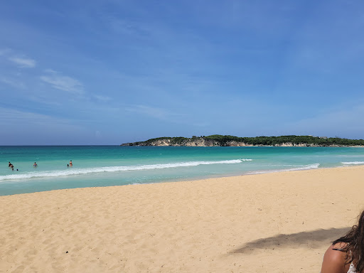 Travel Agency «RISA Travel», reviews and photos, 8103 Coral Way, Miami, FL 33155, USA