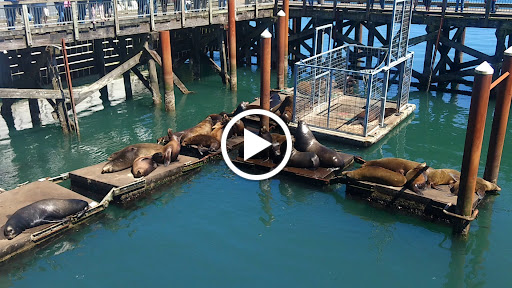 Coffee Shop «Bayscapes Gallery & Coffee house», reviews and photos, 333 SW Bay Blvd, Newport, OR 97365, USA