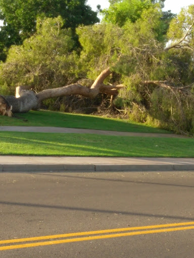 Golf Course «Westbrook Village Golf Club Lakes Course», reviews and photos, 19260 N Westbrook Pkwy, Peoria, AZ 85382, USA