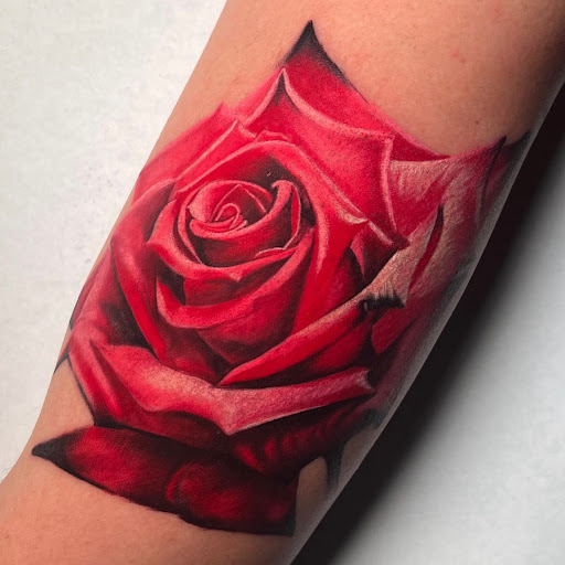 Explore snook tattoo ideas, creative tattoo ideas in Spokane, available at Anchored Art Tattoo