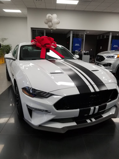 Vista Ford Lincoln image