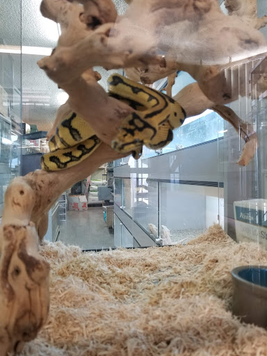 Reptile Store «La Habra Pets», reviews and photos, 1919 W La Habra Blvd, La Habra, CA 90631, USA